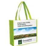 Eco Pro Laminated Nonwoven Bag – Groupama